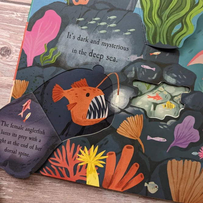 The Ocean- Nature Die Cut Book - Image 2