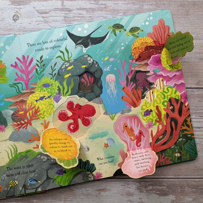 The Ocean- Nature Die Cut Book - Image 3
